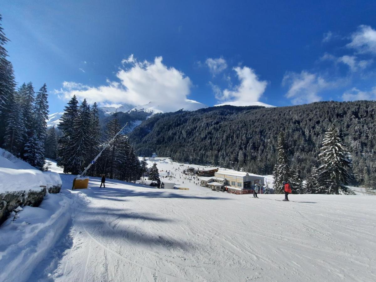 Apartment In Aspen Golf Bansko Exteriör bild